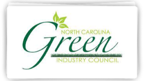 Group Banner Picture